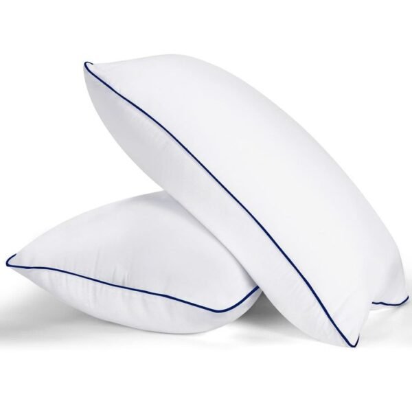 Premium Sleep Pillow