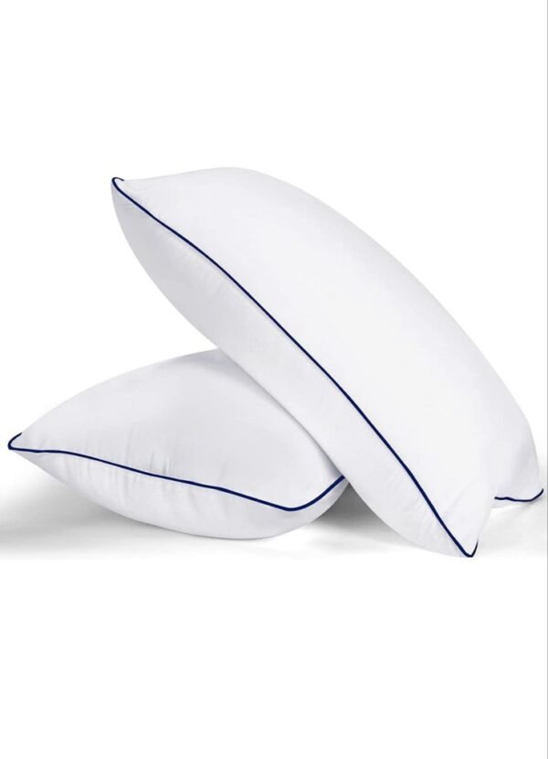 Premium Sleep Pillow